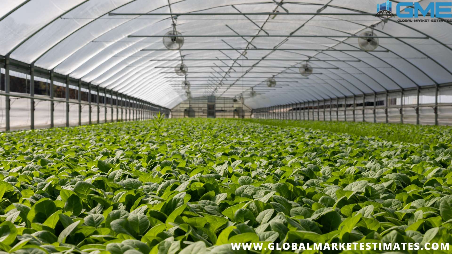 Global Daylight Harvesting Market: An Important Innovation towards a Better Environment?